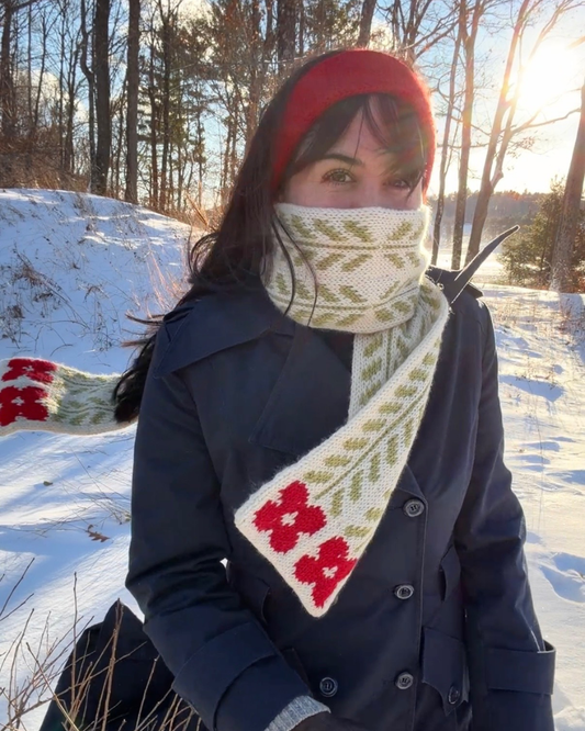 PRE-ORDER Qing Fibre x Starcrossed Knits: 'Under Wraps' Advent Box 2026