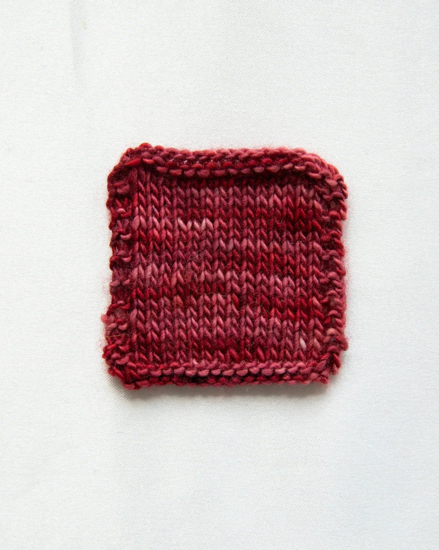 Dashing Sassy - Boysenberry