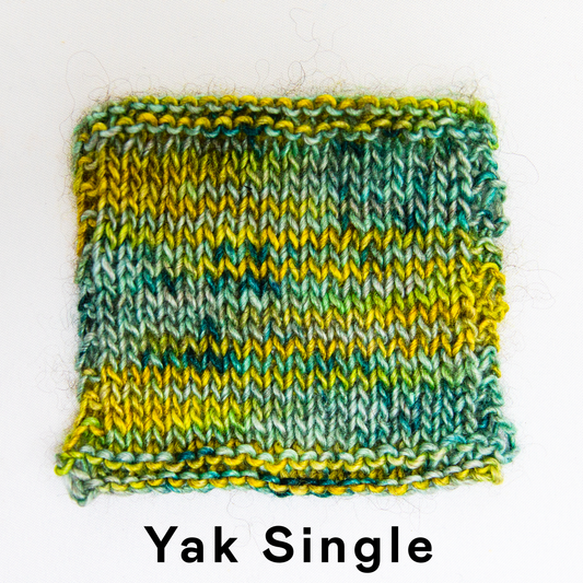 Yak Single - The Dreamer