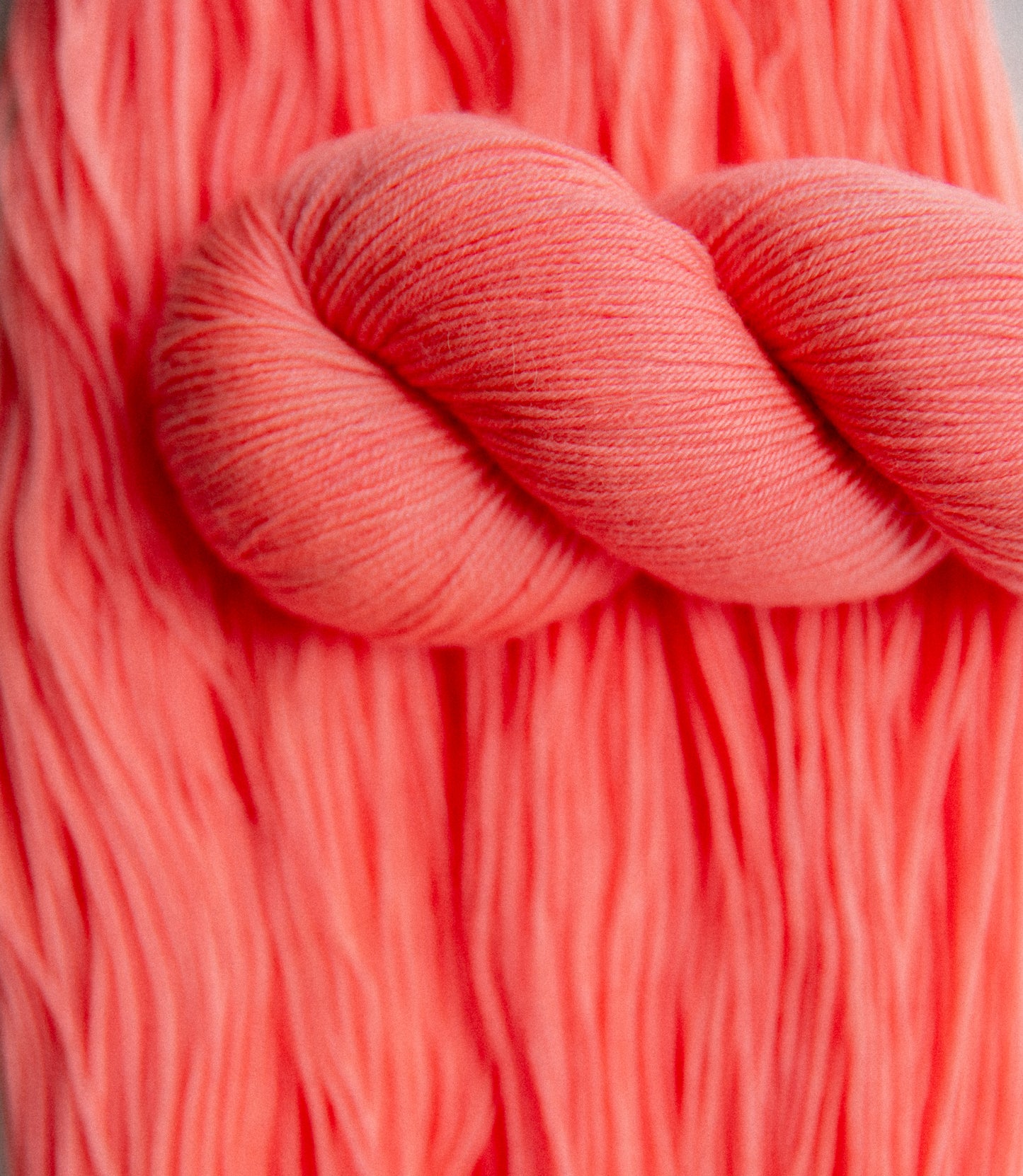 Dashing Fingering - Shrimp