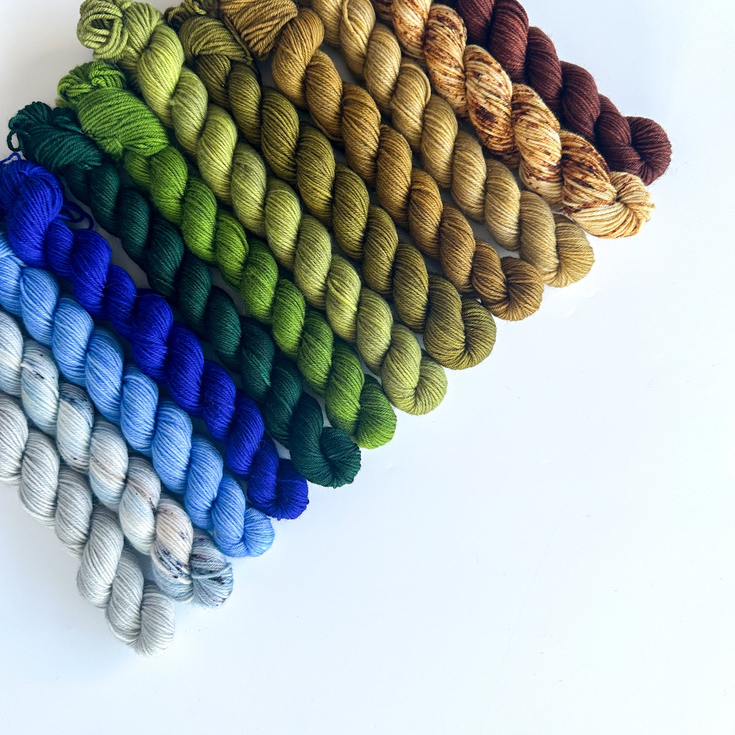 Merino Fingering Mini - Earth Gradient