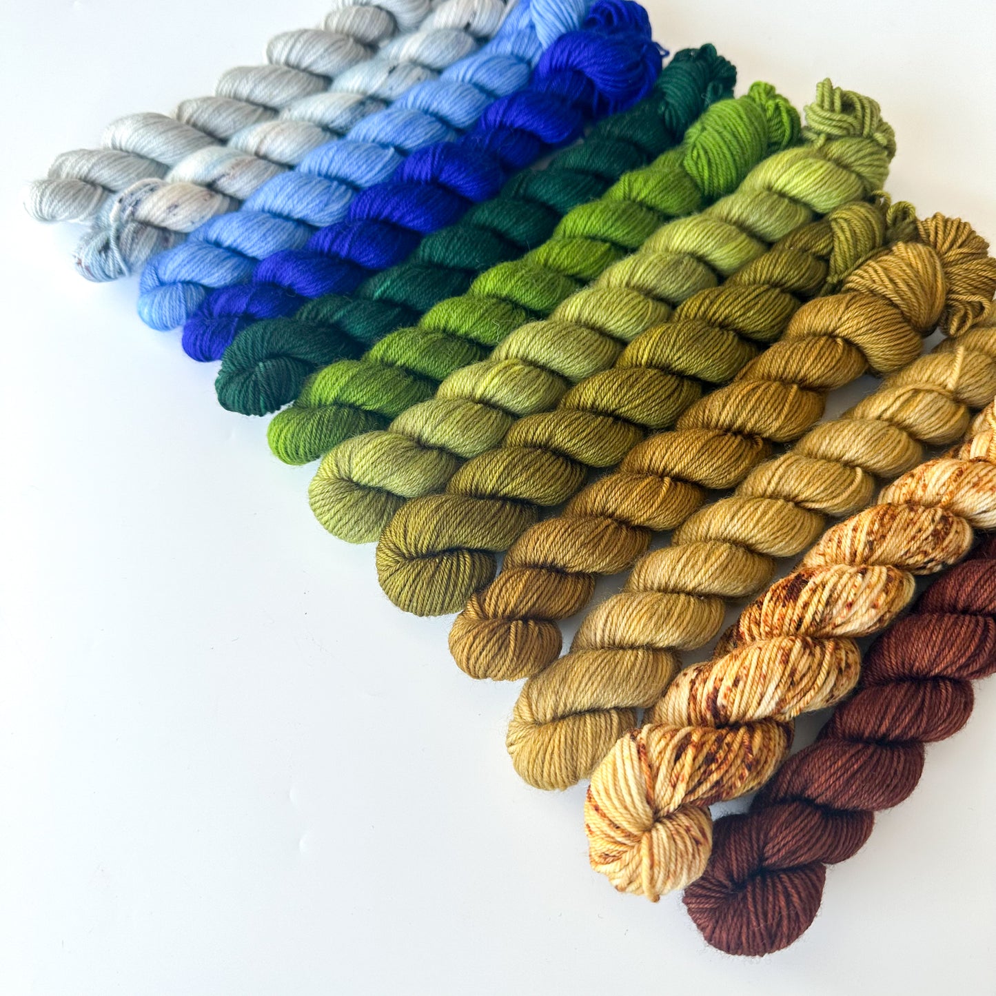 Merino Fingering Mini - Earth Gradient