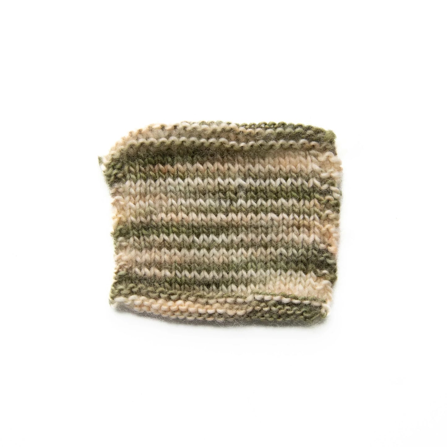 Dashing Sassy - Equinox