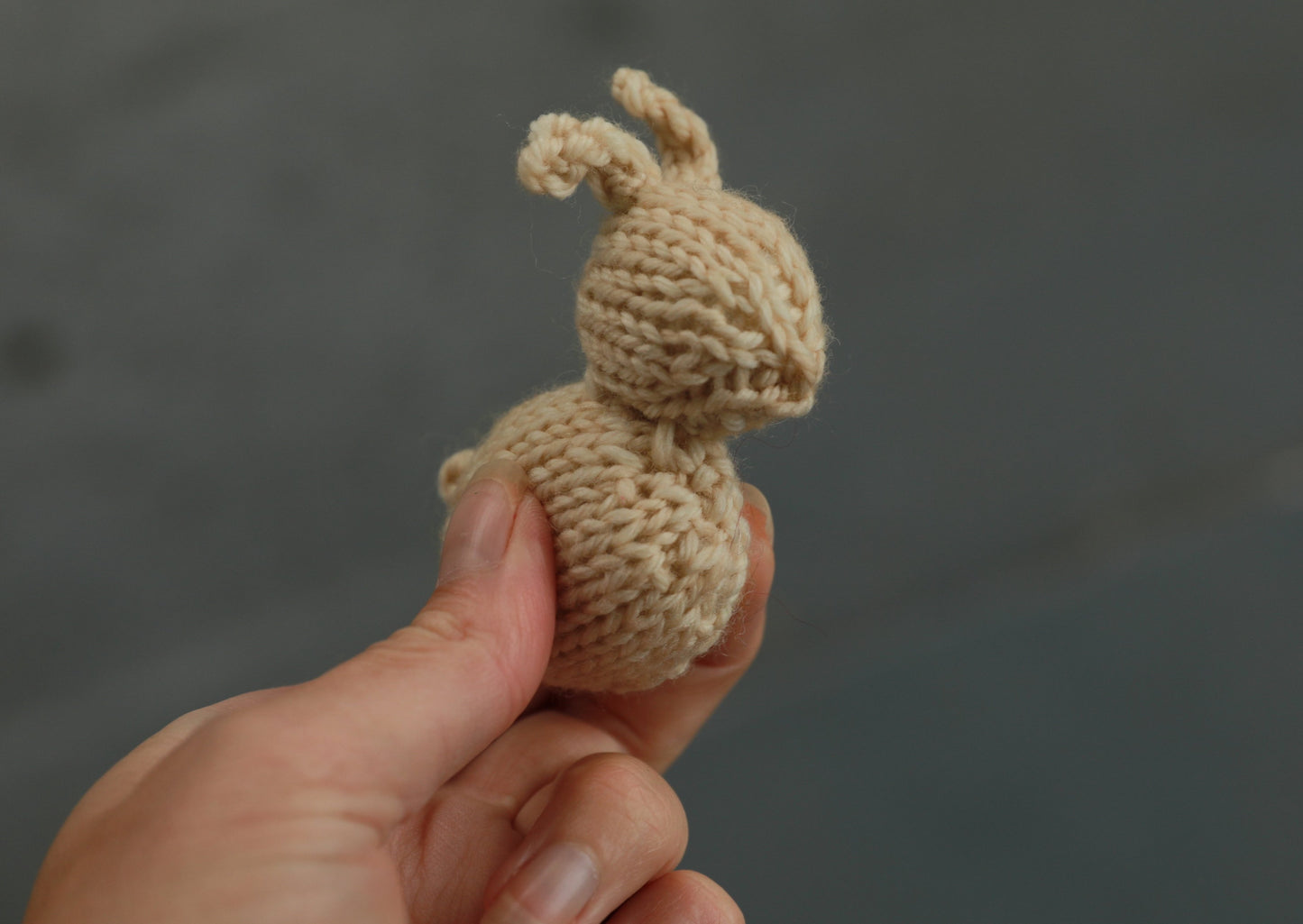 Mini Moon Bunny