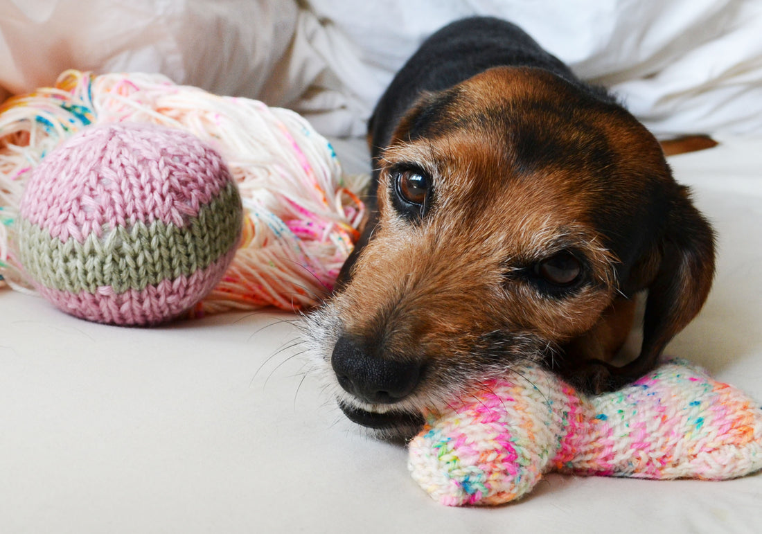 JOIN KNIT FOR PETS CHALLENGE!