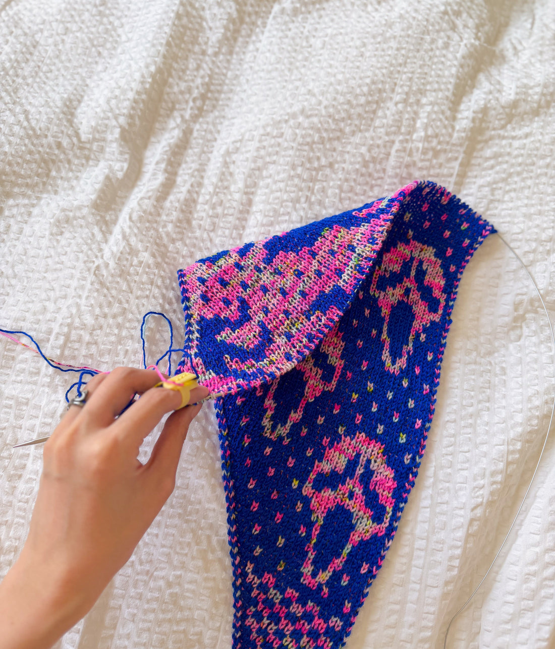 a hand holding a work in progress double knit scarf, showcasing how the two sides of the scarf are not mirroring each other. the scarf is knit in hand-dyed yarn in cobalt blue and bright pink.