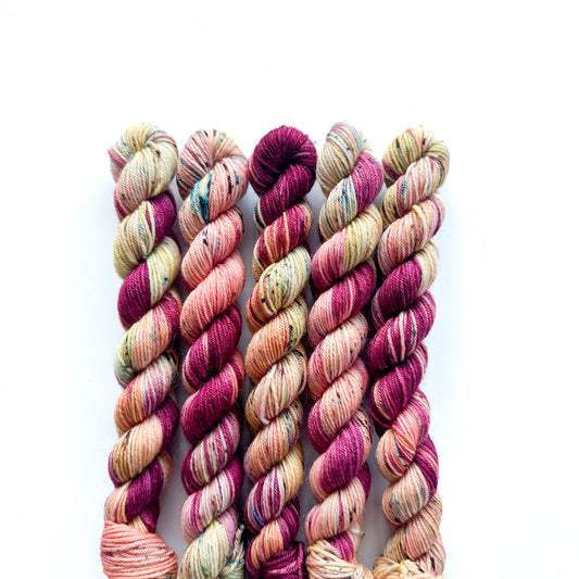 Merino Fingering Mini - Wonka