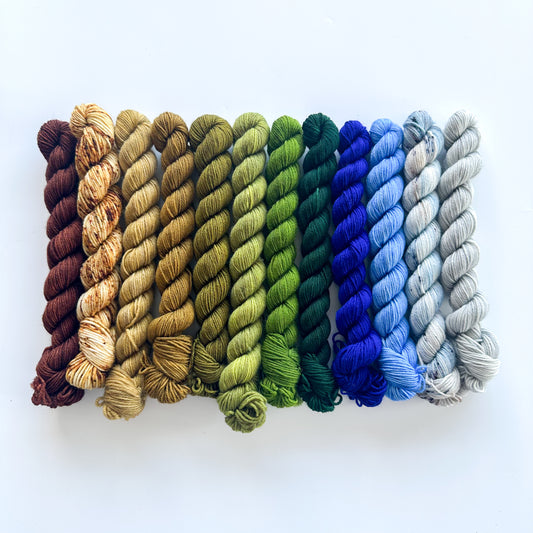 Merino Fingering Mini - Earth Gradient