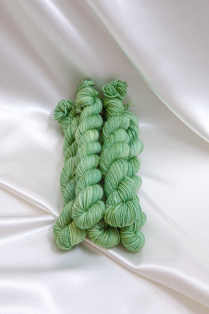 Mini Merino Fingering - Planet Express