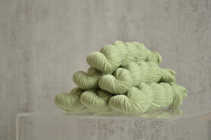 Soufflé Pure - Parakeet