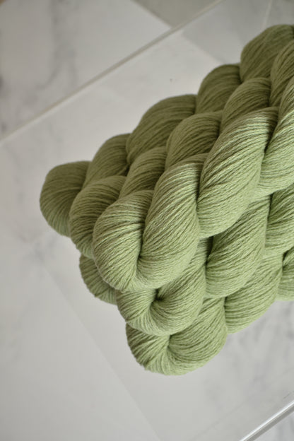 Soufflé Pure - Parakeet